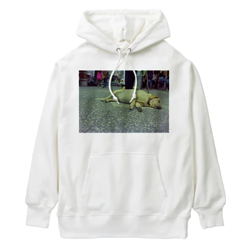 台中の眉毛犬さん Heavyweight Hoodie