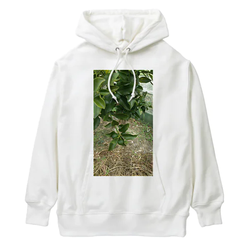 緑金柑の実 Heavyweight Hoodie