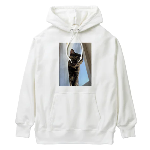 ｶﾞｵ~ｯ Heavyweight Hoodie