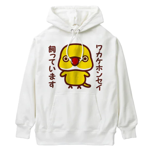 ワカケホンセイインコ飼っています（ルチノー/オス） Heavyweight Hoodie