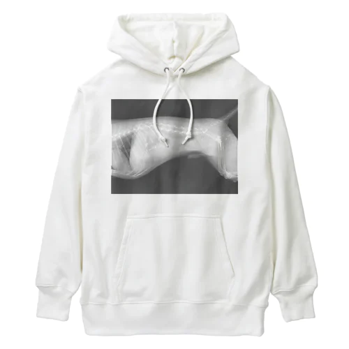 いぬのレントゲン Heavyweight Hoodie