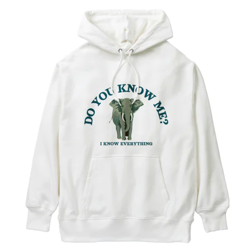 I KNOW EVERYTHING Heavyweight Hoodie