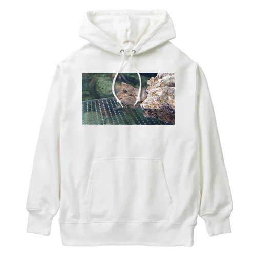 興味津々 Heavyweight Hoodie