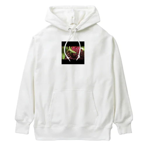 トカゲの散歩 Heavyweight Hoodie