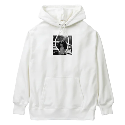 サングラスのBarry Heavyweight Hoodie