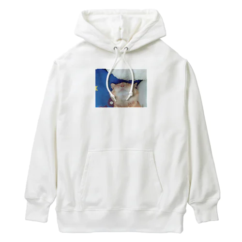 coco Heavyweight Hoodie