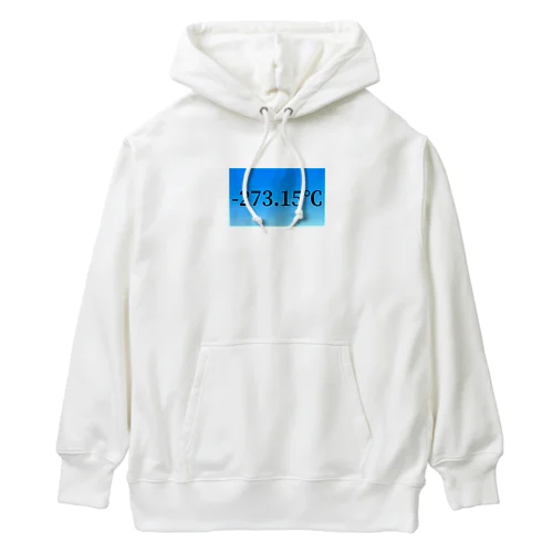 絶対零度 Heavyweight Hoodie