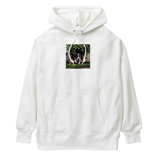 箱の中から覗く犬 dog looking in the box Heavyweight Hoodie