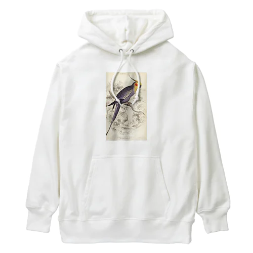 博物画　オカメインコ Heavyweight Hoodie