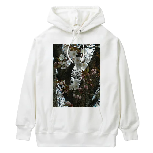 201605121700000　曇り日の桜 Heavyweight Hoodie