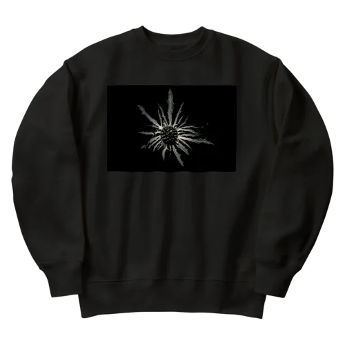 Eryngium Heavyweight Crew Neck Sweatshirt