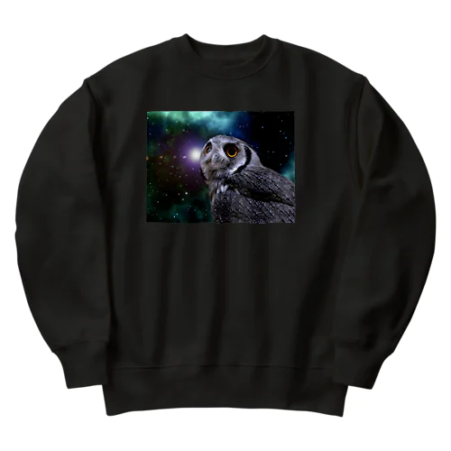 スペースフクロウ Heavyweight Crew Neck Sweatshirt