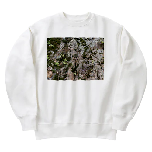 苔 Heavyweight Crew Neck Sweatshirt