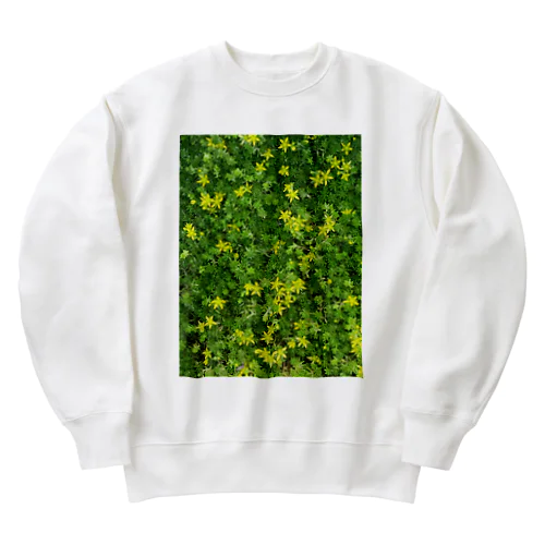 癒しグリーンセダム Heavyweight Crew Neck Sweatshirt