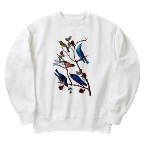 ムジルリツグミ、チャカタルリツグミ、タウンゼントアメリカムシクイ Heavyweight Crew Neck Sweatshirt