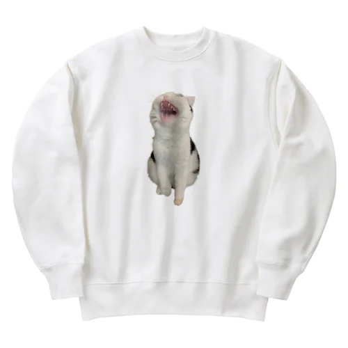 すぅちゃんトレーナー Heavyweight Crew Neck Sweatshirt