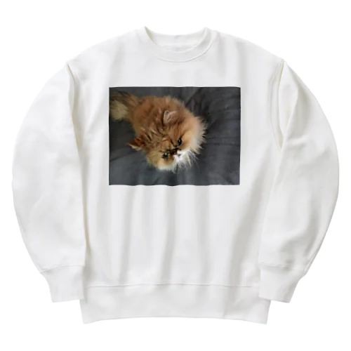 ぶちゃ猫・茶々丸 Heavyweight Crew Neck Sweatshirt