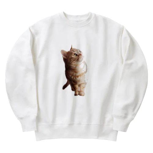 みんなのアイドルめーたん Heavyweight Crew Neck Sweatshirt