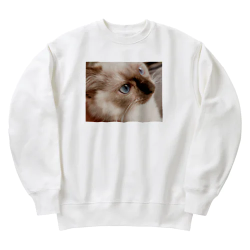 あおい目のたび Heavyweight Crew Neck Sweatshirt