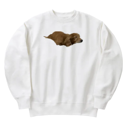 香川犬 Heavyweight Crew Neck Sweatshirt