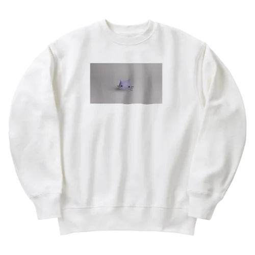 脱毛 Heavyweight Crew Neck Sweatshirt