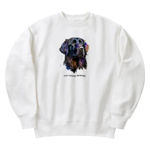 カラフル　フラッティ Heavyweight Crew Neck Sweatshirt