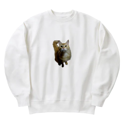 我が家のお猫様が見てます(笑) Heavyweight Crew Neck Sweatshirt