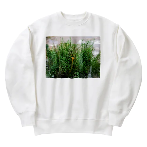 キノコと苔テラリウム Heavyweight Crew Neck Sweatshirt