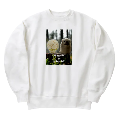 どーっちだ？ Heavyweight Crew Neck Sweatshirt