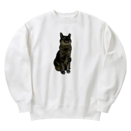 びっくり猫シリーズ Heavyweight Crew Neck Sweatshirt