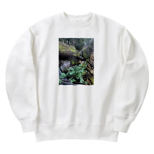 多様性の森 Heavyweight Crew Neck Sweatshirt