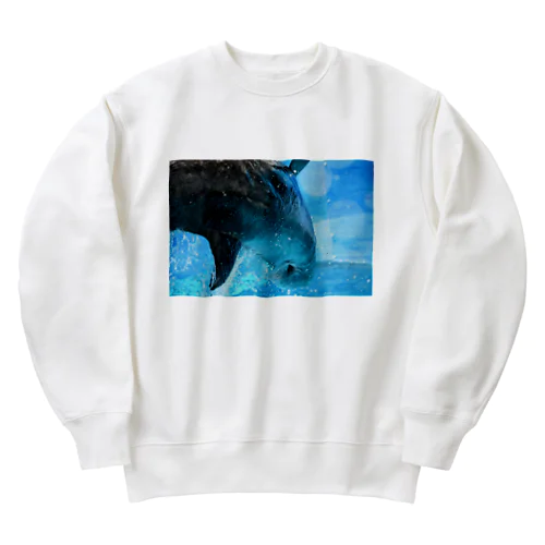 ハナゴンドウのビーナ① Heavyweight Crew Neck Sweatshirt