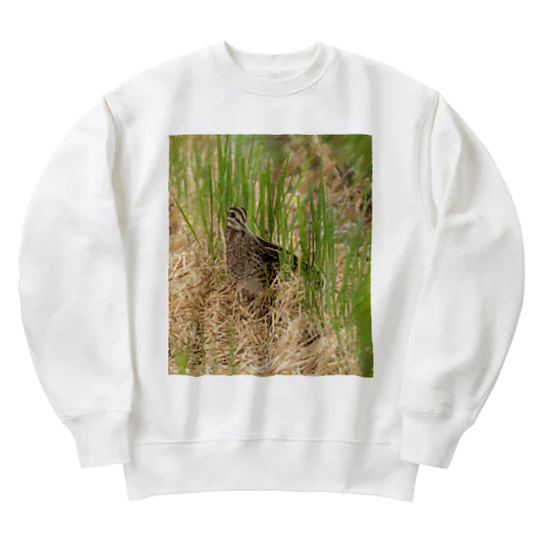 チュウジシギ【色鉛筆】 Heavyweight Crew Neck Sweatshirt