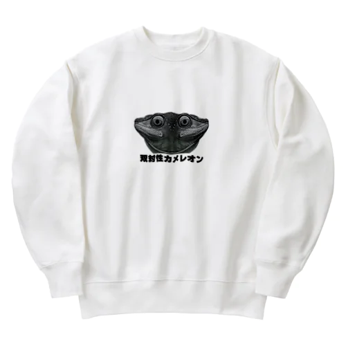 双対性カメレオン Heavyweight Crew Neck Sweatshirt