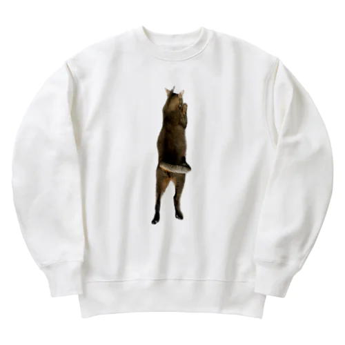 QAMALくん Heavyweight Crew Neck Sweatshirt