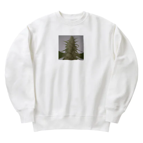 42O-0091 フォトゥオーナインティワン Heavyweight Crew Neck Sweatshirt