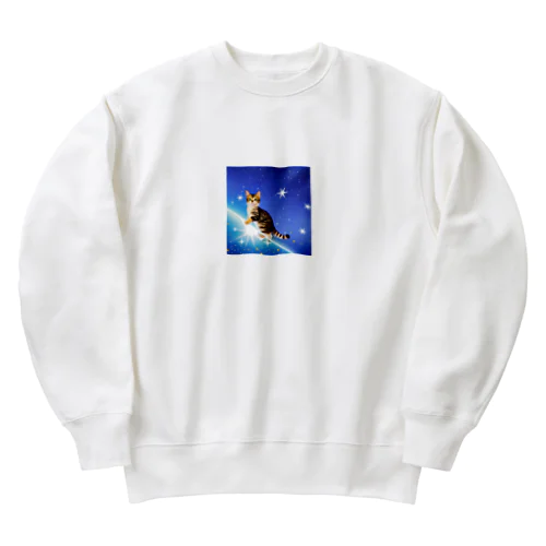 ステラキャットチェイサー Heavyweight Crew Neck Sweatshirt