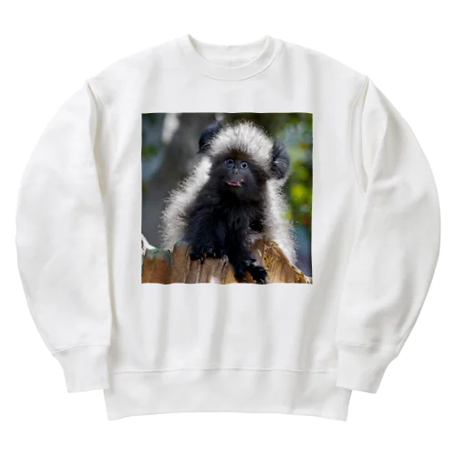 珍しい動物 Heavyweight Crew Neck Sweatshirt