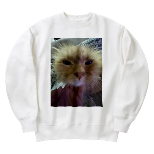 可愛い猫 Heavyweight Crew Neck Sweatshirt