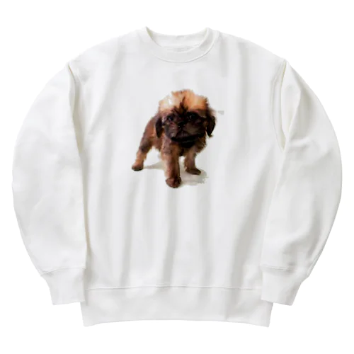 ベイビーリップ Heavyweight Crew Neck Sweatshirt