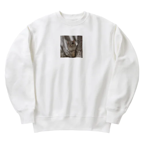 ムササビ　flying squirrel Heavyweight Crew Neck Sweatshirt