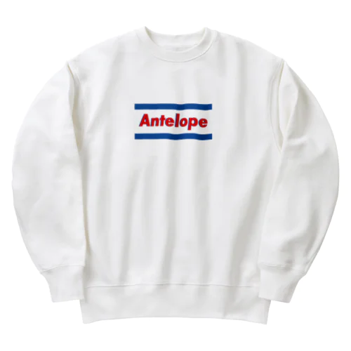 ブルーロゴ Heavyweight Crew Neck Sweatshirt