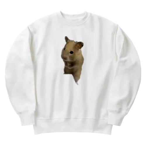 キンクマハムスター Heavyweight Crew Neck Sweatshirt