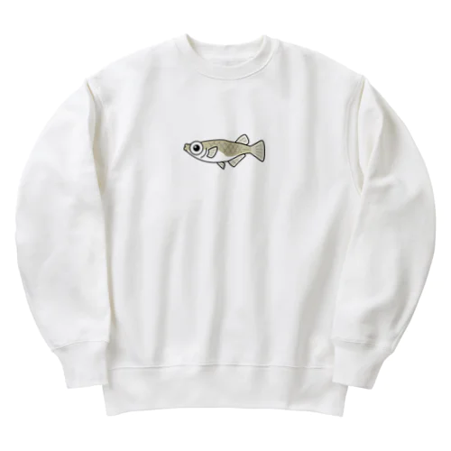 メダカ Heavyweight Crew Neck Sweatshirt