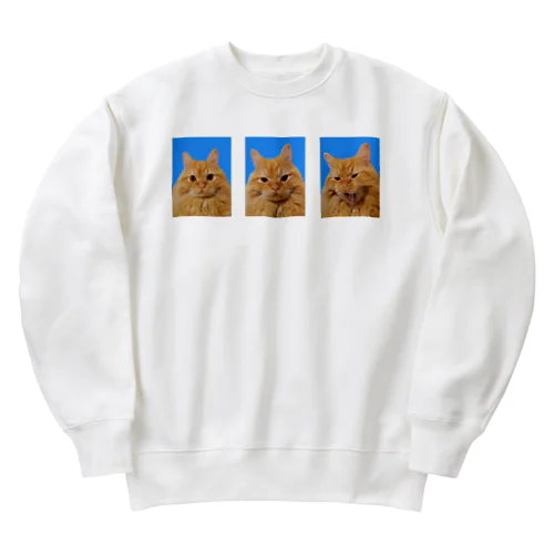 シンバ証明写真(３ショット) Heavyweight Crew Neck Sweatshirt