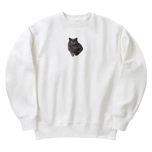 それゆけ！ガブちゃん5 Heavyweight Crew Neck Sweatshirt