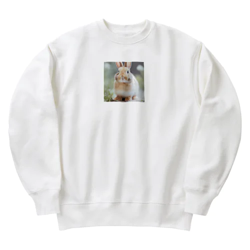 ラビット Heavyweight Crew Neck Sweatshirt