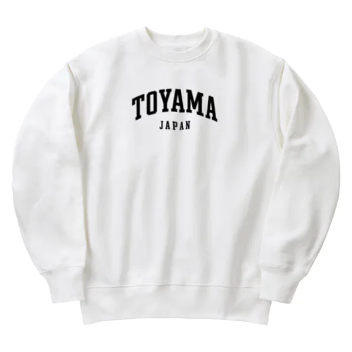 TOYAMA COLLEGE LOGO Heavyweight Crew Neck Sweatshirt