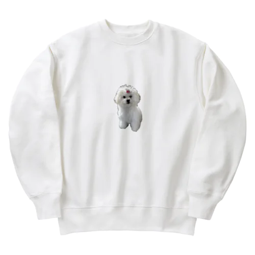 あんのスウェット Heavyweight Crew Neck Sweatshirt