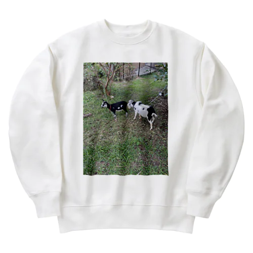 70@days Heavyweight Crew Neck Sweatshirt